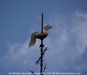 Savernake - photo: 01970