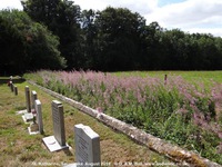 Savernake - photo: 02046