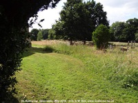 Savernake - photo: 02048