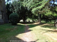 Savernake - photo: 02049