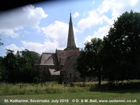 Savernake - photo: 02058