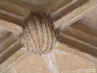 Sherston Magna - photo: 0121