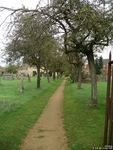 Shrivenham - photo: 00021