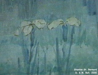 Stanton St. Bernard - photo: D00052