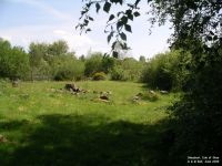 Skeabost - photo: 0096