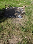 Stratton St. Margaret - photo: 0013