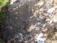 Stratton St. Margaret - photo: 0014