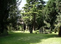 Stratton St. Margaret - photo: 00494
