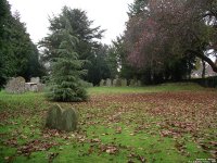 Stratton St. Margaret - photo: 00502