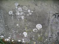 Stanton St. Quintin - photo: 0040