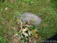 Stanton St. Quintin - photo: 0145