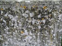 Stanton St. Quintin - photo: 0210