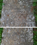 Tockenham - photo: 00038