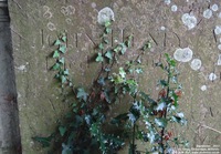 Tockenham - photo: 00068