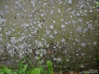 Tockenham - photo: 00120