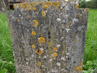 Tockenham - photo: 00157