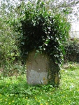 Upton Scudamore - photo: 00032