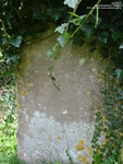 Upton Scudamore - photo: 00033