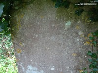Upton Scudamore - photo: 00034