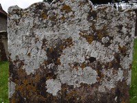 Upton Scudamore - photo: 00039