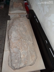 Upton Scudamore - photo: 00249