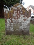 Wilton - photo: 0145