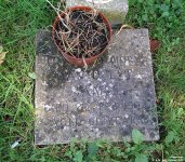 Wanborough - photo: 164