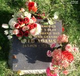 Wanborough - photo: 230