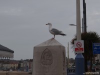 Weymouth - photo: 0034