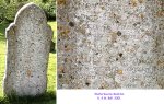 Winterbourne Monkton - photo: D0025