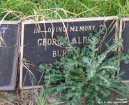 Wroughton - photo: 0305