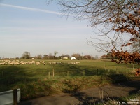 Yatesbury - photo: 0350