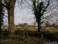 Yatesbury - photo: 0351