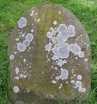 Yatton Keynell - photo: 075