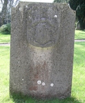 Zeals - photo: 00020