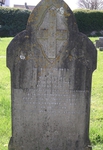 Zeals - photo: 00024