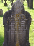 Zeals - photo: 00061
