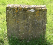 Zeals - photo: 00071