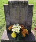 Zeals - photo: 00084