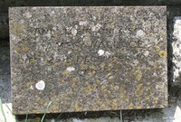 Zeals - photo: 00120