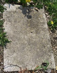 Zeals - photo: 00139
