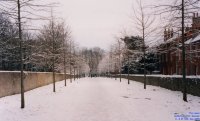 Oops photo: 00294 is missing - please let us know