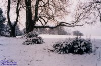 Oops photo: 00299 is missing - please let us know