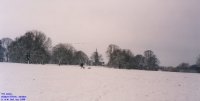 Oops photo: 00307 is missing - please let us know