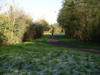 Oops photo: 00516 is missing - please let us know