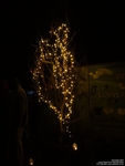 Oops photo: 00655 is missing - please let us know