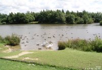Oops photo: 00750 is missing - please let us know
