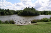Oops photo: 00751 is missing - please let us know