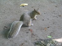 Oops photo: 00813 is missing - please let us know