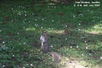 Oops photo: 00818 is missing - please let us know